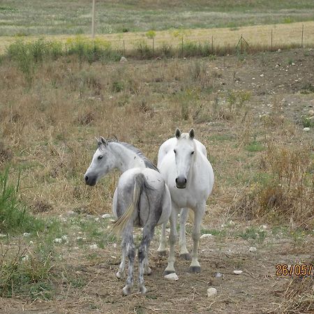 Agriturismo Reggia Saracena Αγκριτζέντο Εξωτερικό φωτογραφία